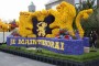 Thumbs/tn_Bloemencorso 2015 061.jpg